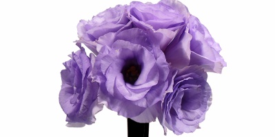 Buque Lisianthus Julia Lavander Dream Lilás